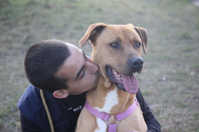 multimedia-foto41207-221-3