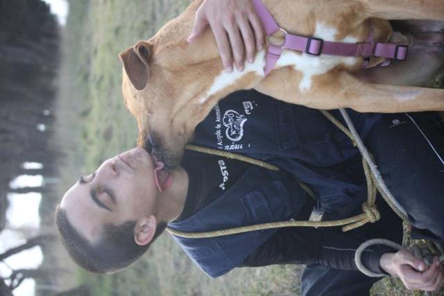 multimedia-foto41208-221-3