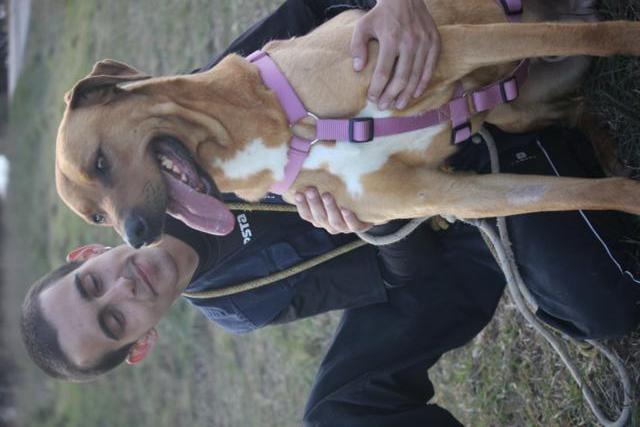 multimedia-foto41210-221-3