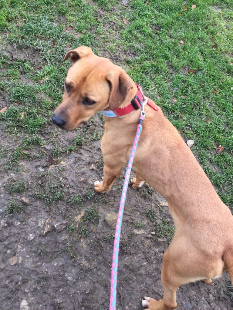 multimedia-foto41211-221-3