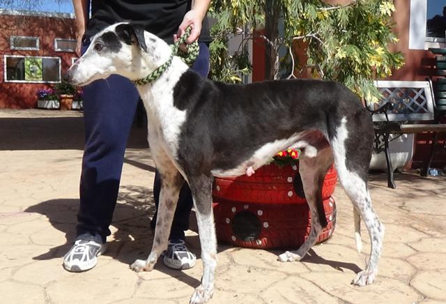 multimedia-foto41215-730-3