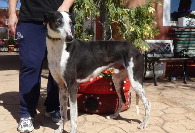 multimedia-foto41216-730-3