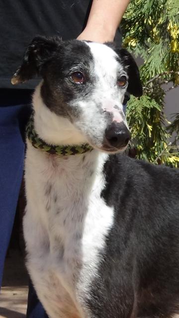 multimedia-foto41217-730-3