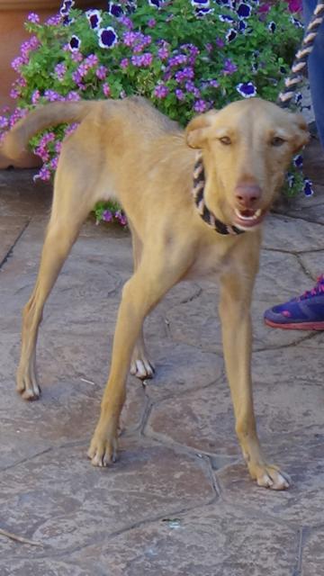 multimedia-foto41233-970-3