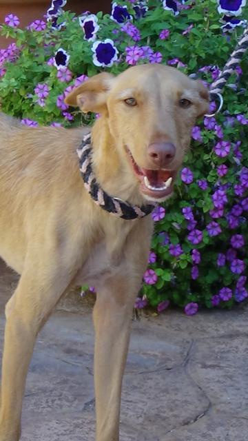 multimedia-foto41234-970-3