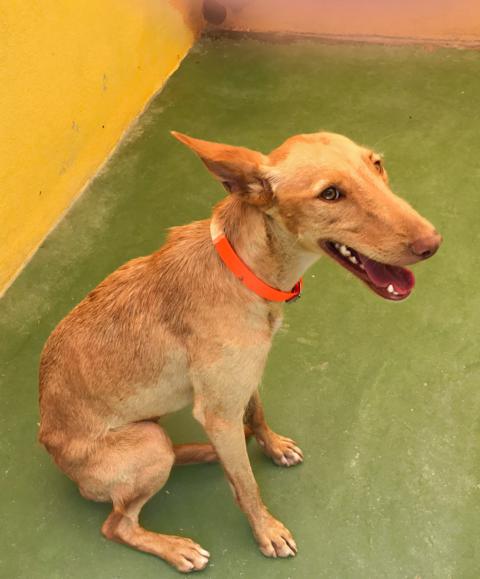 multimedia-foto41235-970-3