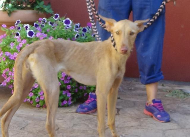 multimedia-foto41236-970-3