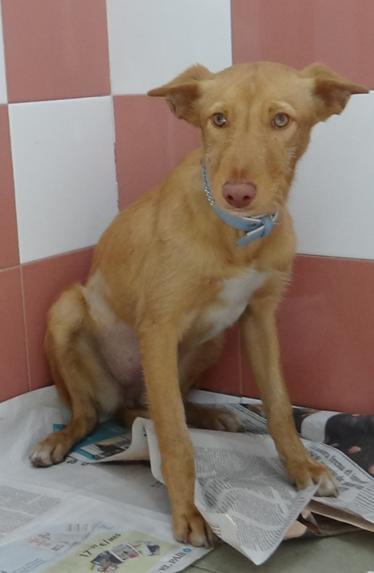 multimedia-foto41238-970-3