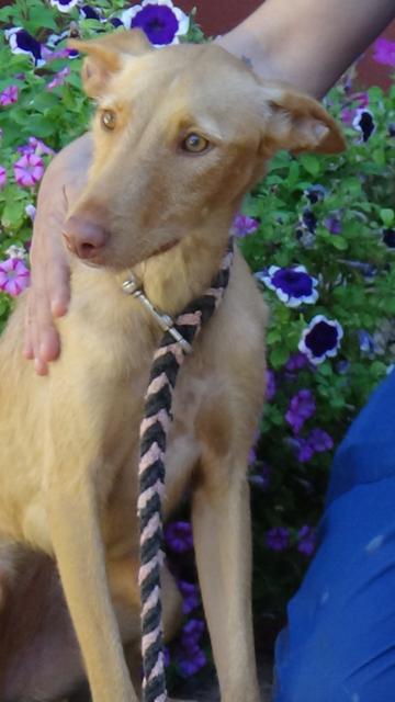 multimedia-foto41239-970-3