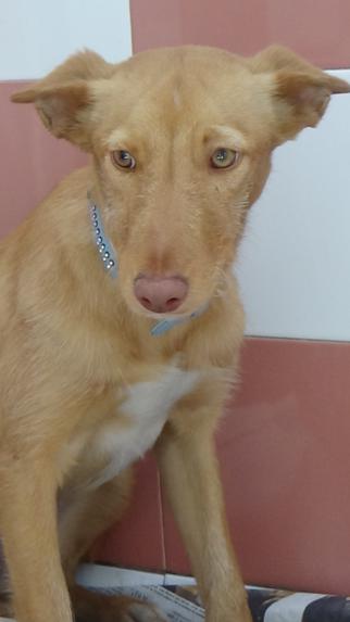 multimedia-foto41240-971-3