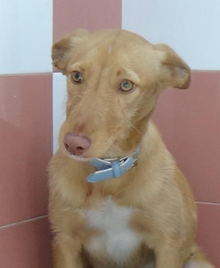 multimedia-foto41242-971-3