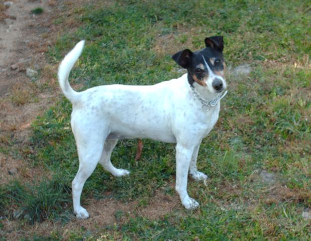 multimedia-foto41251-809-3