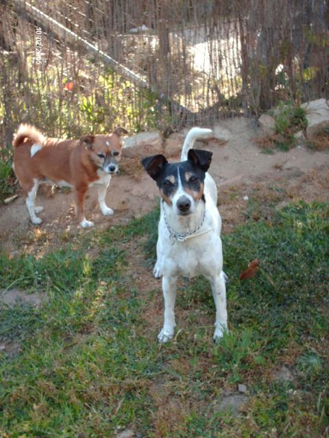 multimedia-foto41252-809-3