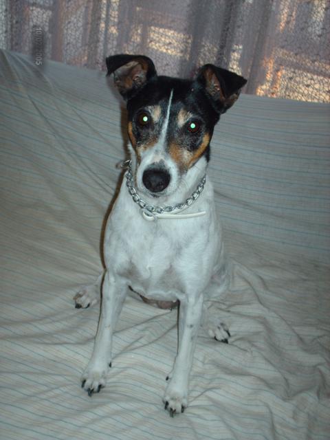 multimedia-foto41253-809-3