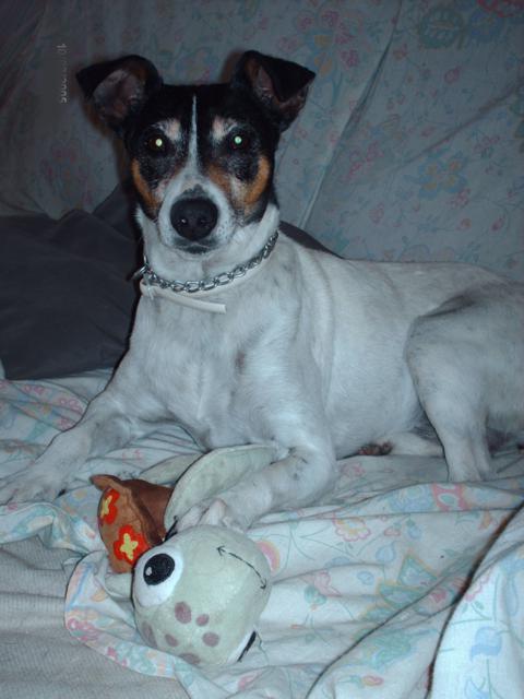 multimedia-foto41254-809-3