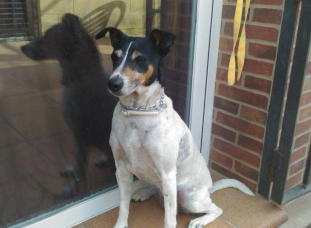 multimedia-foto41255-809-3