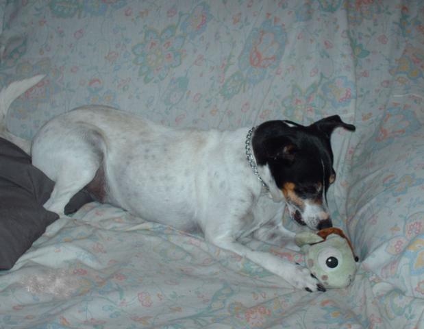 multimedia-foto41256-809-3