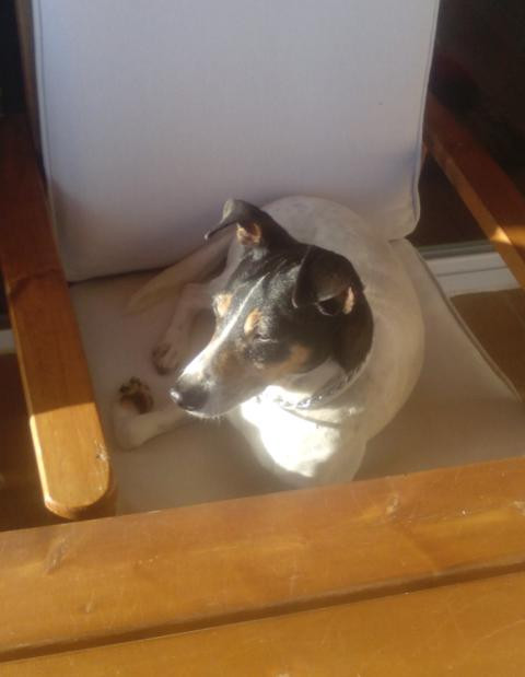 multimedia-foto41257-810-3