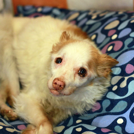 multimedia-foto41264-478-3