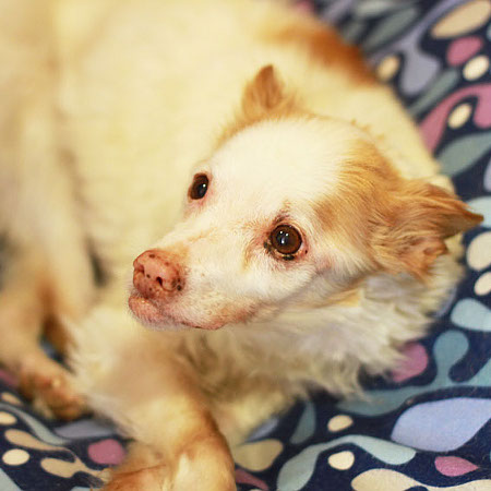 multimedia-foto41265-479-3