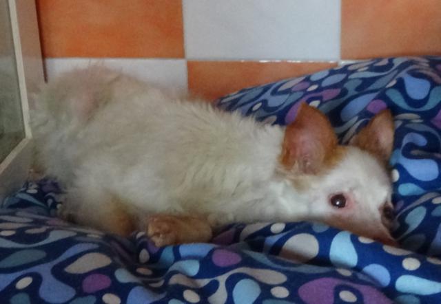 multimedia-foto41266-479-3