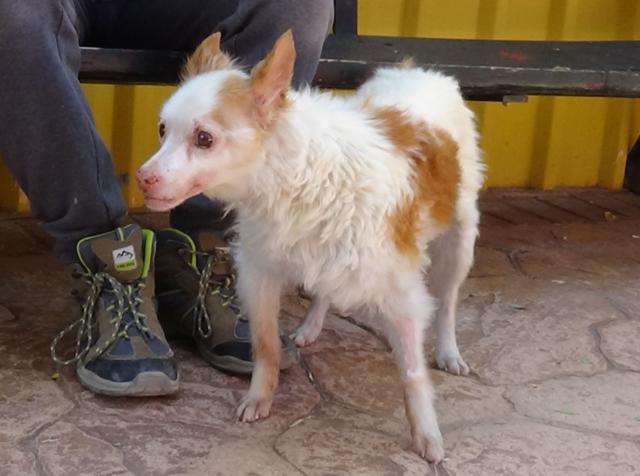 multimedia-foto41267-479-3