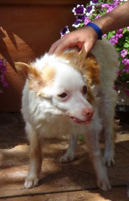 multimedia-foto41269-479-3