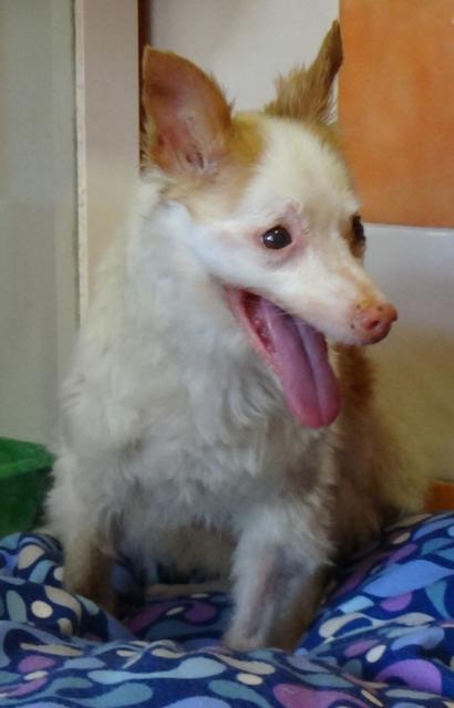 multimedia-foto41270-479-3