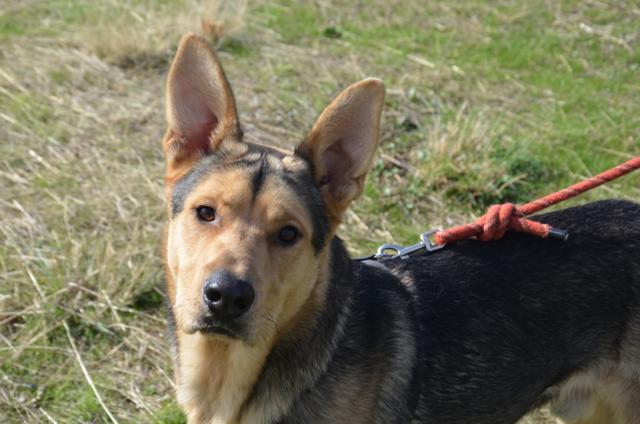 ????????????????????????????????????