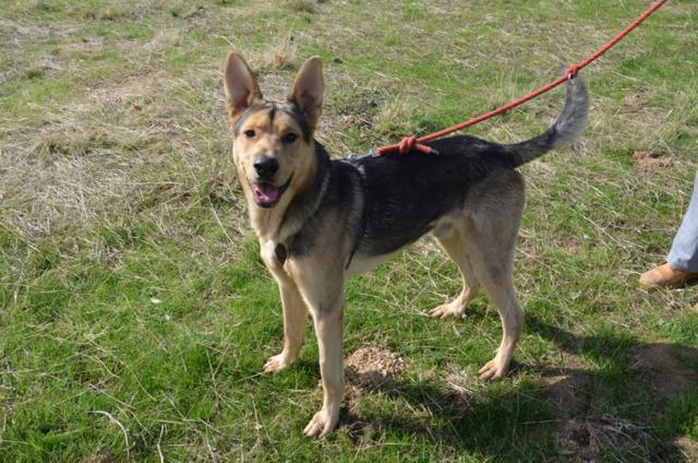 ????????????????????????????????????