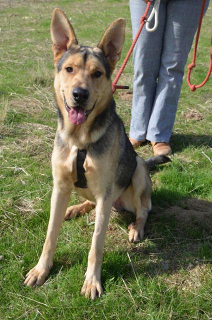 ????????????????????????????????????