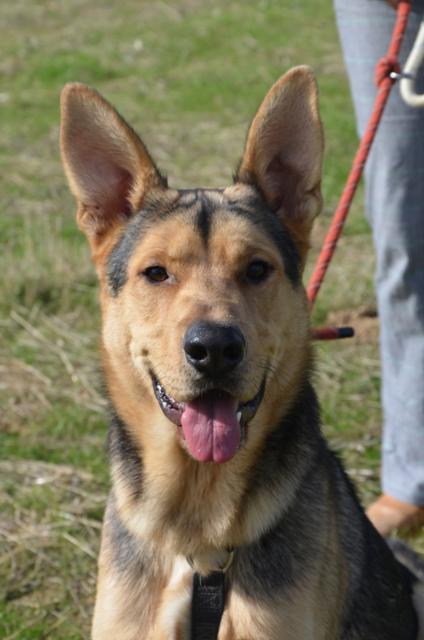 ????????????????????????????????????