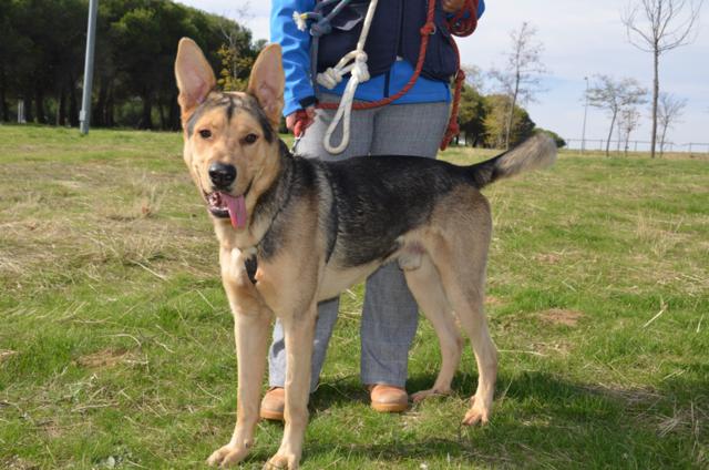 ????????????????????????????????????