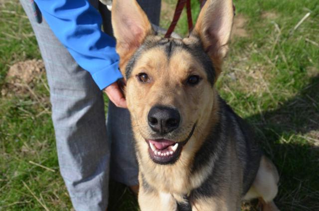 ????????????????????????????????????