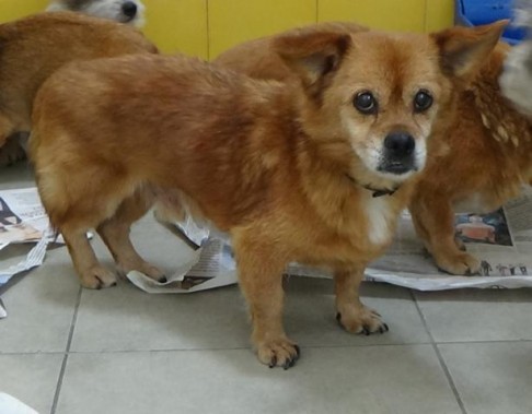 multimedia-foto41291-621-3