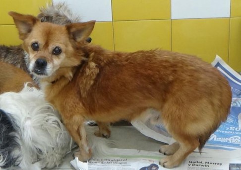 multimedia-foto41292-621-3