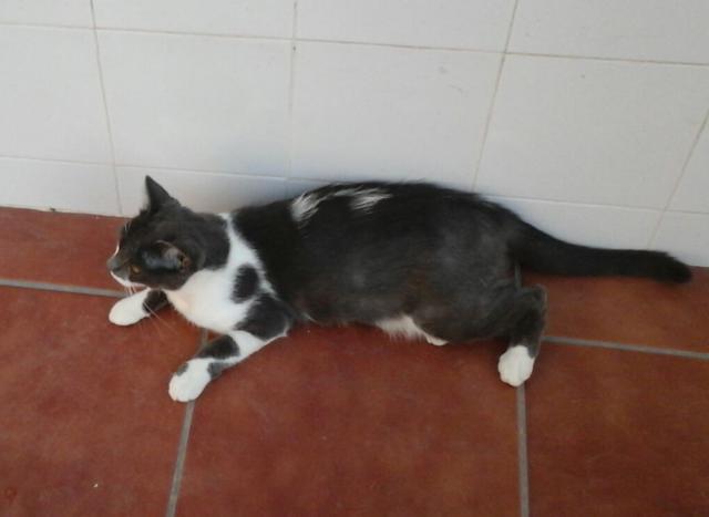 multimedia-foto41335-405-3