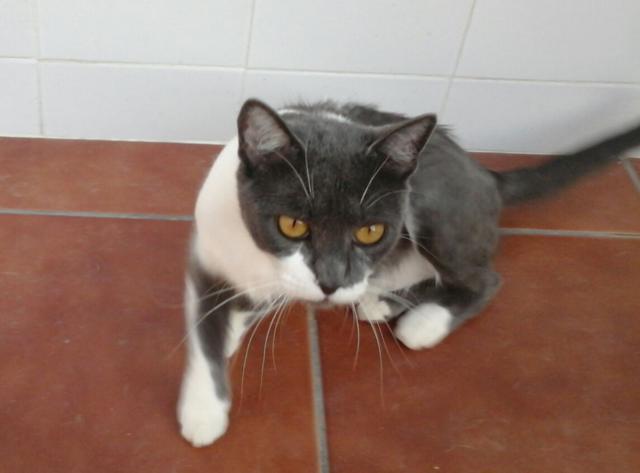 multimedia-foto41336-405-3