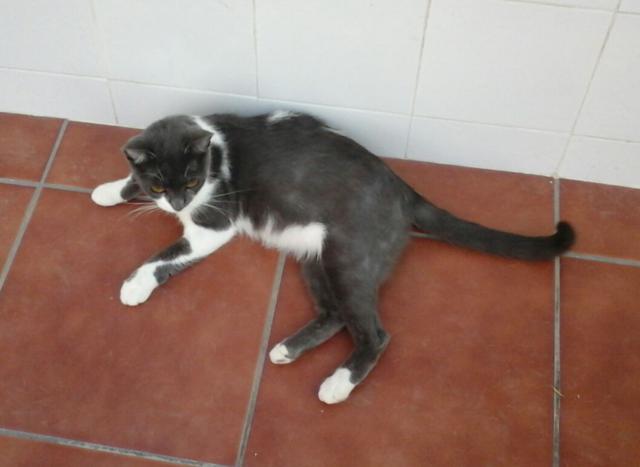 multimedia-foto41337-405-3