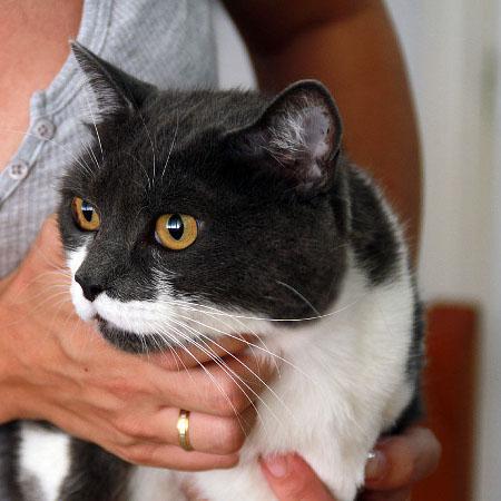 multimedia-foto41338-406-3