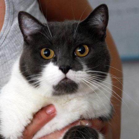 multimedia-foto41339-406-3