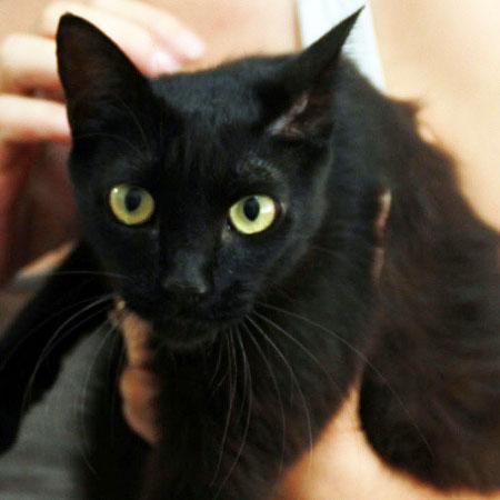 multimedia-foto41342-630-3