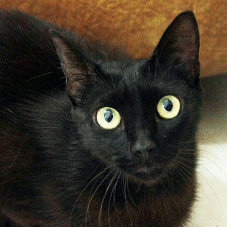 multimedia-foto41343-631-3