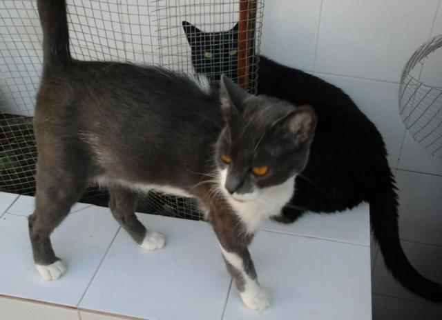 multimedia-foto41345-631-3