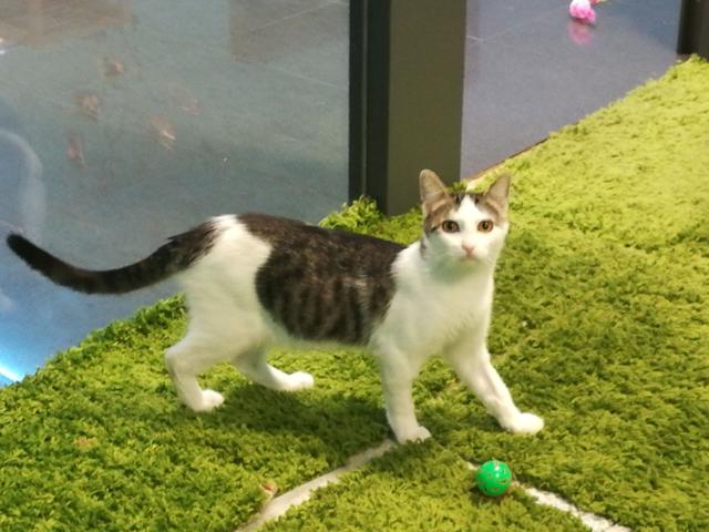 multimedia-foto41537-440-3