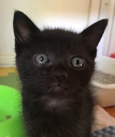 multimedia-foto41541-788-3