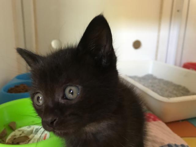 multimedia-foto41542-788-3