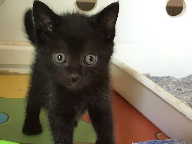 multimedia-foto41543-788-3