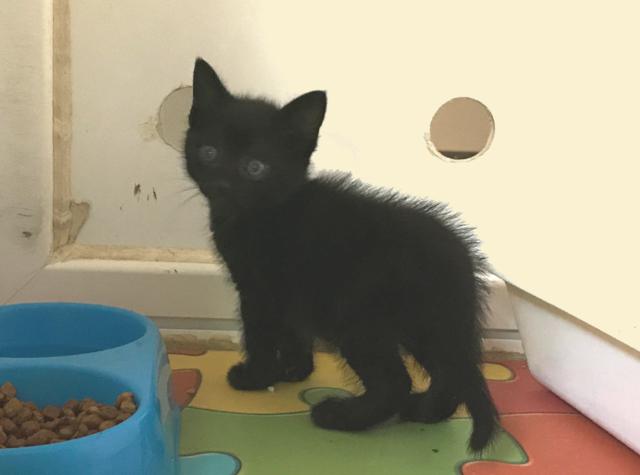 multimedia-foto41544-788-3