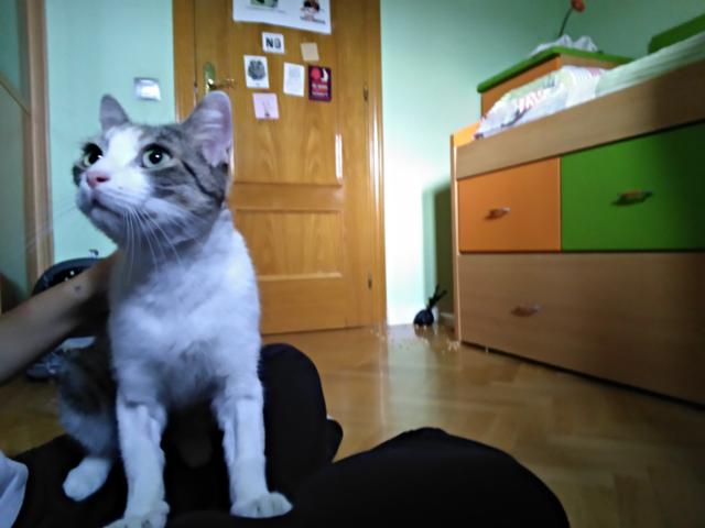 multimedia-foto41546-87-3